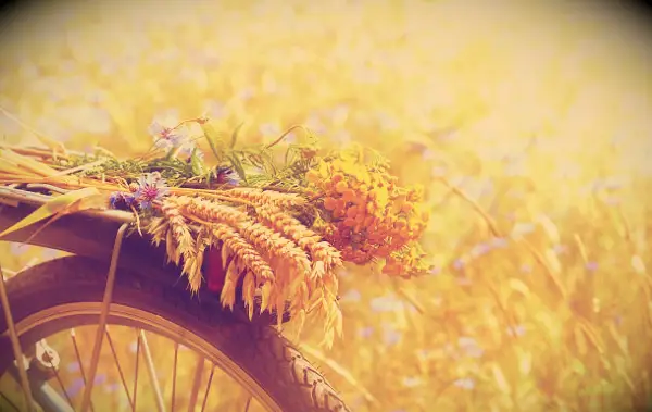 85 Krátký červenec Citáty: Pozitivní, krásné a vtipné výroky, které uvítají tento letní měsíc