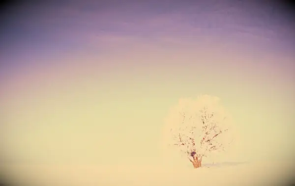 101 citazioni invernali ispiratrici per una stagione edificante e meno stressante