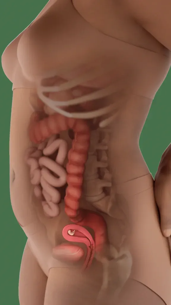 baby in womb at 10 weeks