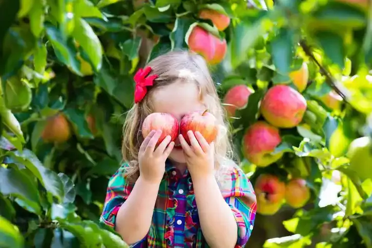 102 nombres de frutas súper lindos para niñas