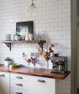 melhores eletrodomésticos de cozinha