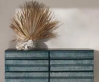 흰색 배경에 식물이 위에 있는 인류학 서랍장.