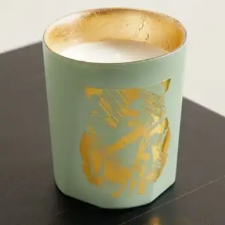 トゥルドン・メートル・ツェン・L