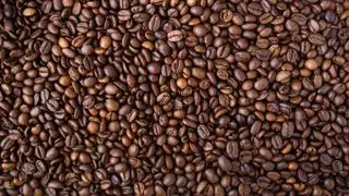 grains de café, d'une couleur similaire, remplissant l'écran
