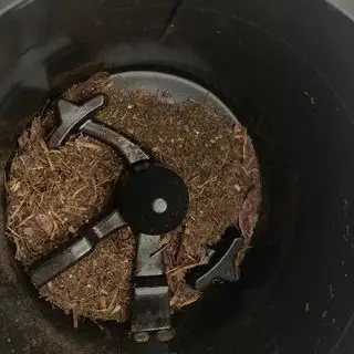 Avanzi di cibo e un sacchetto in bioplastica per testare la compostiera domestica Lomi