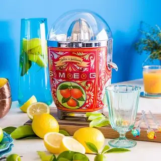 Extracteur de jus lent NutriBullet