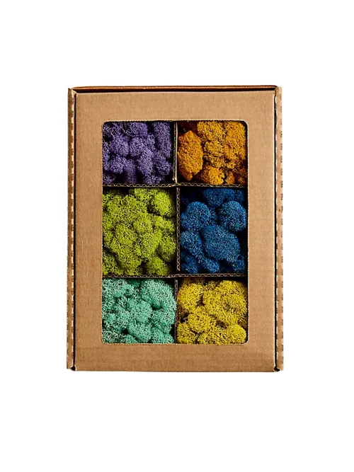 Zachovalý Moss' title=