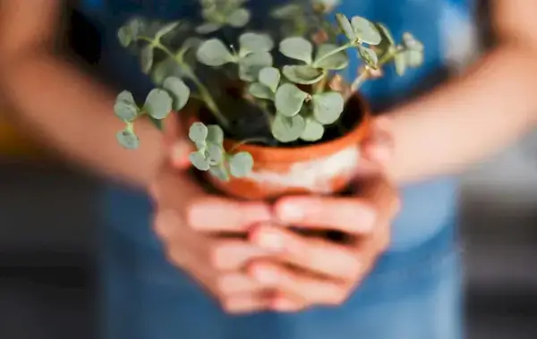 35 recursos monetarios útiles si está estresado por las finanzas