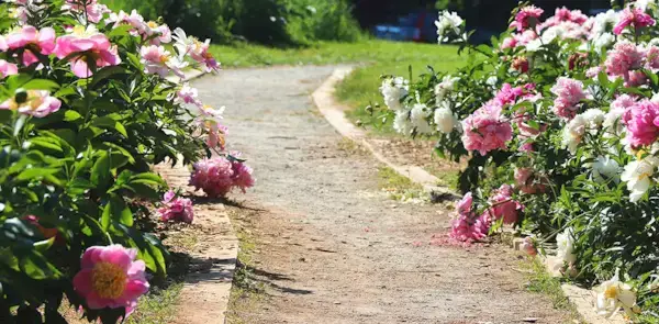 Jak wrócić na właściwe tory