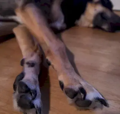 7 דברים לעשות כשאתה באמת עצוב