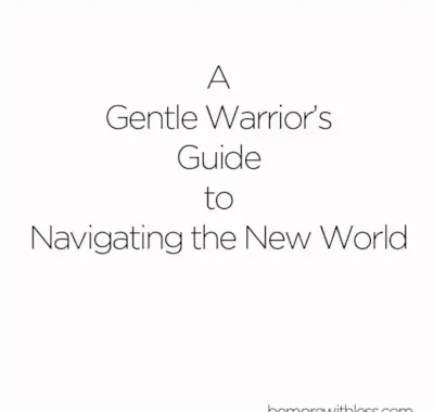 Una guía gentil para el guerrero para navegar por el nuevo mundo