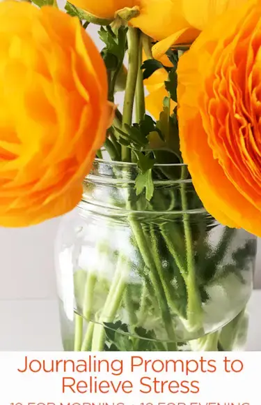 Invites à tenir un journal pour soulager le stress : 10 pour le matin, 10 pour le soir