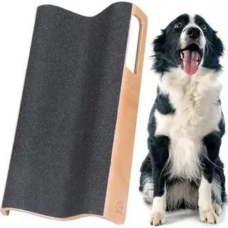 Bloco de rascunho de cachorro contra um fundo branco, ao lado de um border collie.