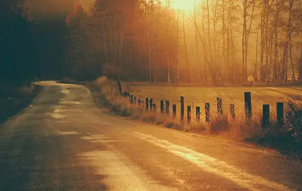 Life In the Slow Lane: Why Soft and Slow je nová Busy