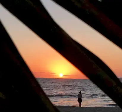 바쁜 생활을 끝내기 위한 온화한 전사의 선언문