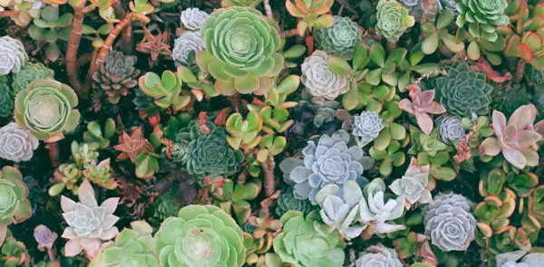 5 דרכים לסיים את המשחק האינסופי של הדבקה