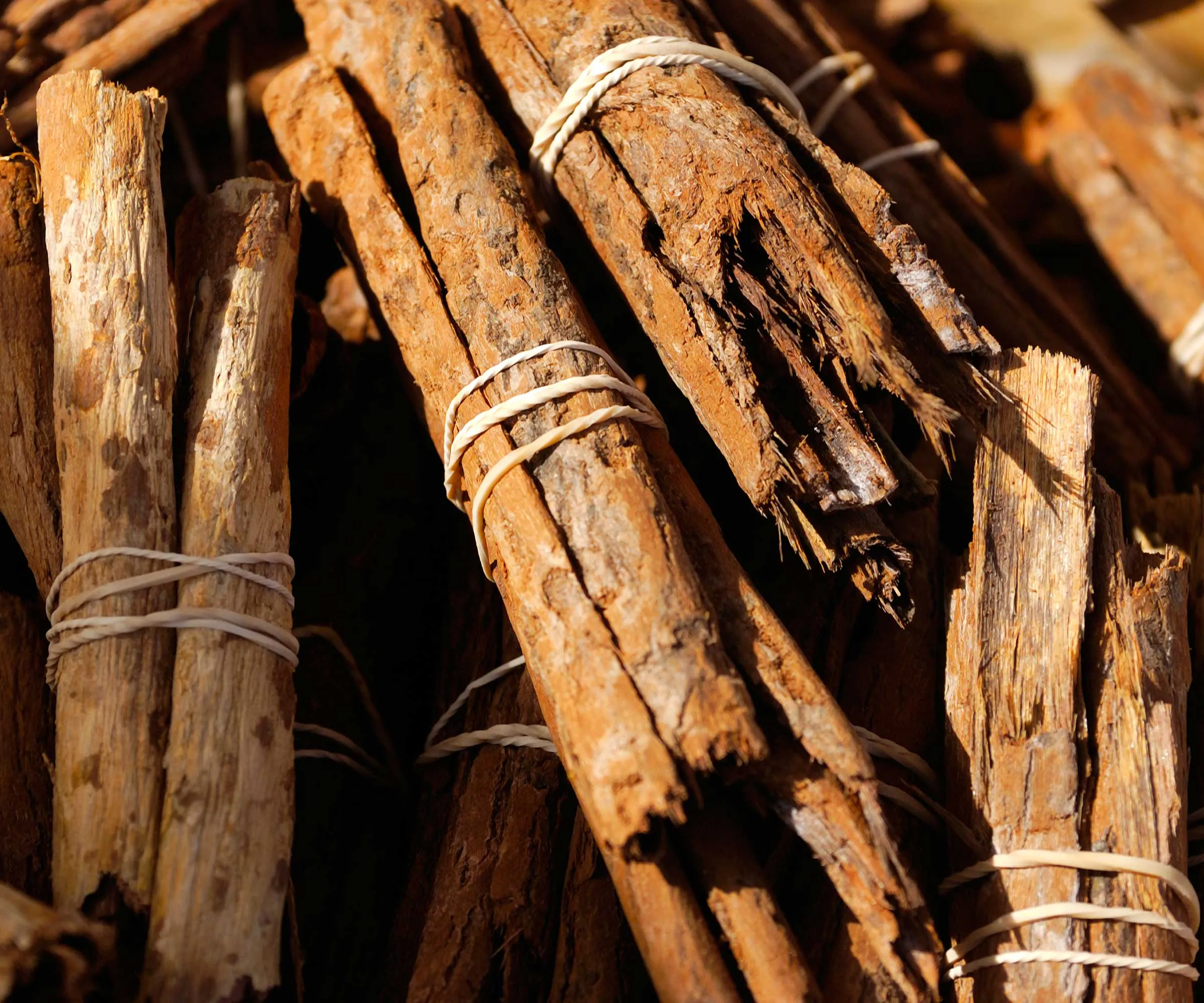 Zimtstangen miteinander gebündelt und eng unter strahlendem Sonnenlicht fotografiert' loading='lazy' title=