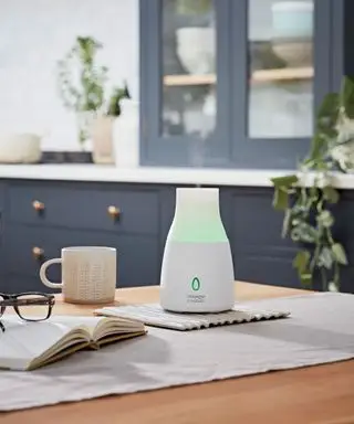 Comment utiliser la cannelle pour prévenir les moisissures, selon les experts en nettoyage et en moisissures