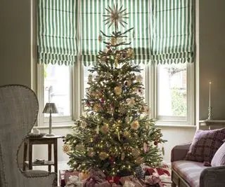 Un albero di Natale in una vetrata.