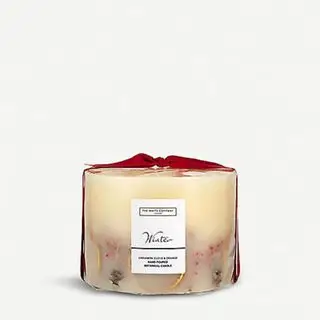 Candela botanica invernale su uno sfondo bianco.