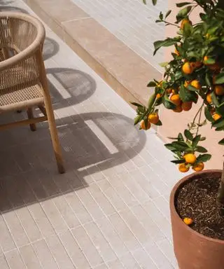 Arancio sul patio
