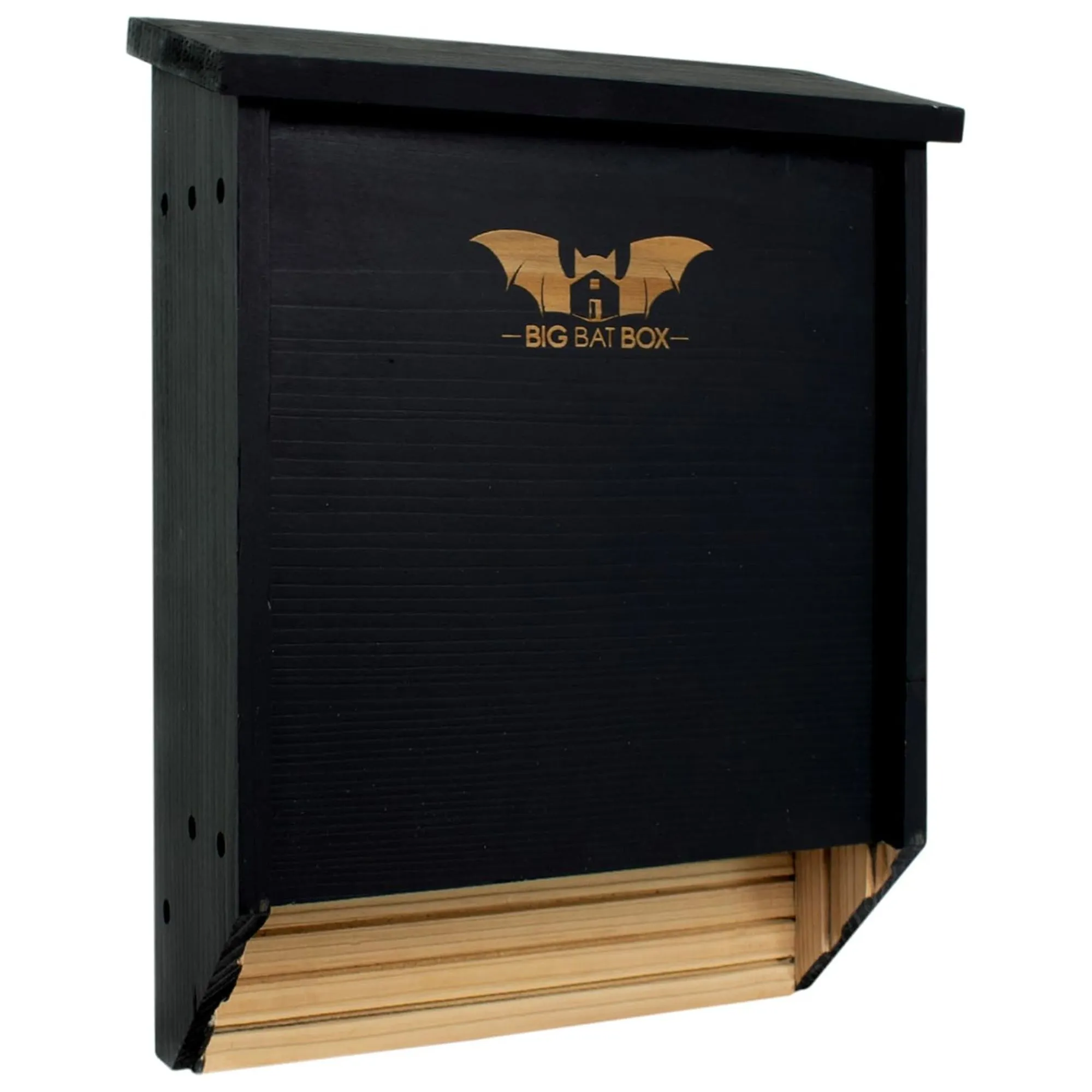 Czarne, duże pudełko na nietoperze' loading='lazy' title=