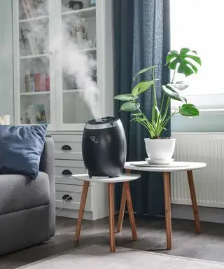 Comment nettoyer un humidificateur sans vinaigre, selon des professionnels de la qualité de l'air