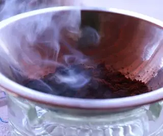 Udržuje kávová sedlina hmyz pryč? Odborníci mají odpovědi