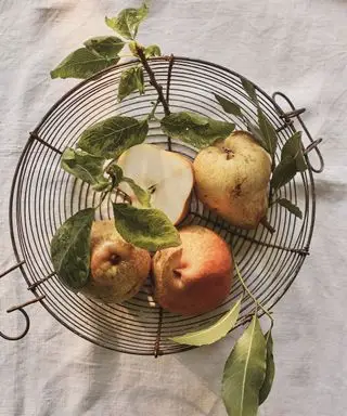 Cómo-deshacerse-de-las-moscas-de-la-fruta-Emma-Lee-1