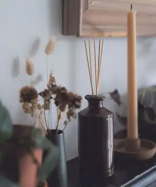 13 façons de donner une odeur agréable à votre maison – des méthodes innovantes pour bannir les odeurs et ajouter des parfums