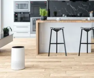 Les purificateurs d’air aident-ils à éliminer la poussière ? Les experts en électroménager tranchent le débat