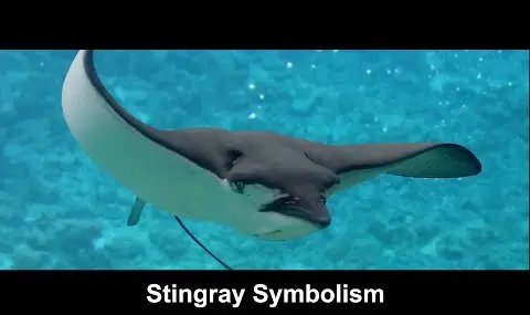 가오리 상징주의