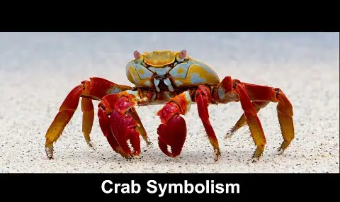 Krabbensymbolik