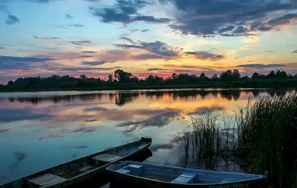 Overveldet av livet? 15 påminnelser for å hjelpe deg å føle deg bedre