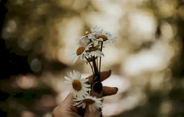 10 ting vi kommer til å angre på når vi blir eldre