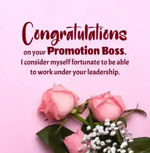 congratulations to boss on promotion