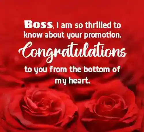 congratulations message to boss on promotion