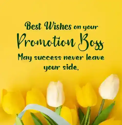 Eine Nachricht, die dem Chef zu einer Beförderung gratuliert