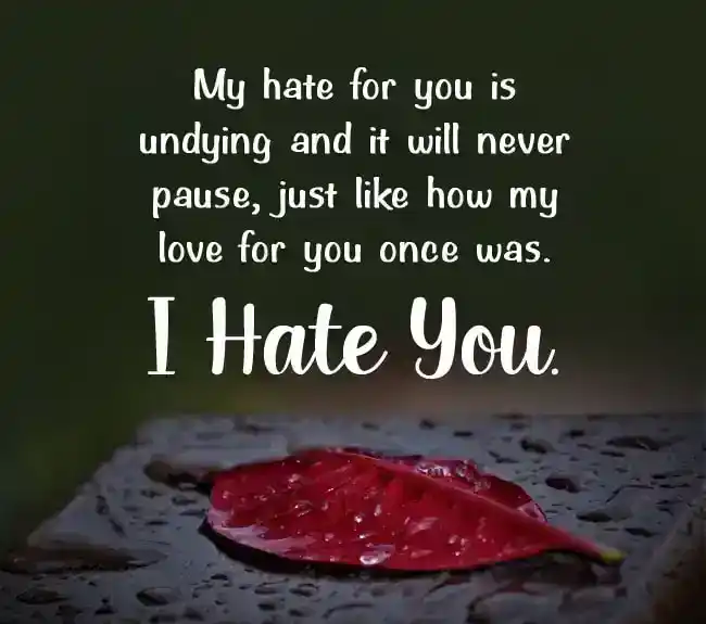 hate quotes for bf