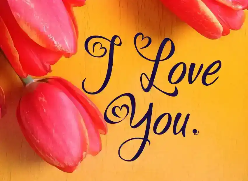 100 milostných dopisů jemu a jí