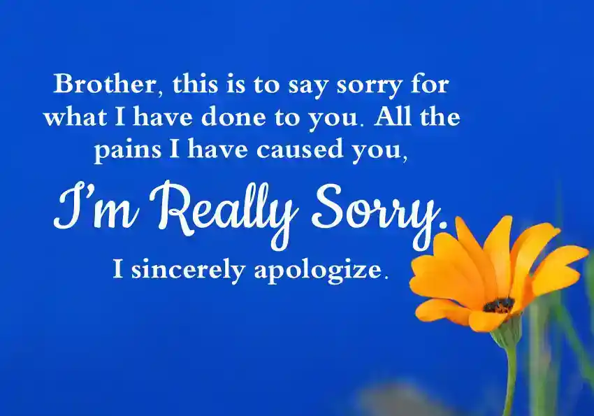 Perfect apology message to brother