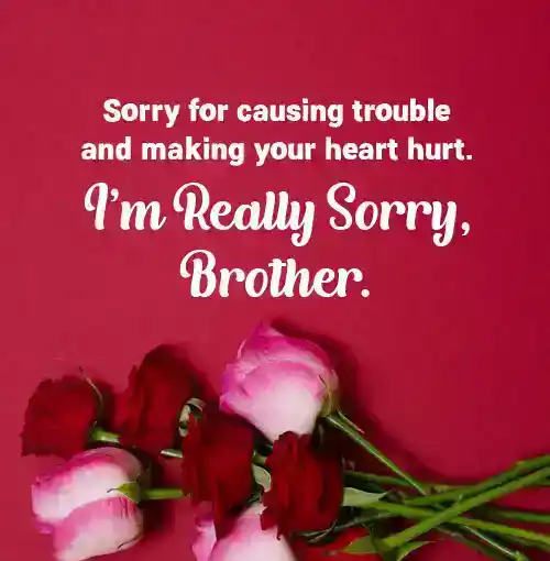 sorry brother quotes