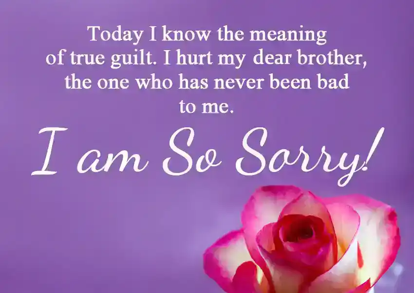 Sorry brother quotes from sister