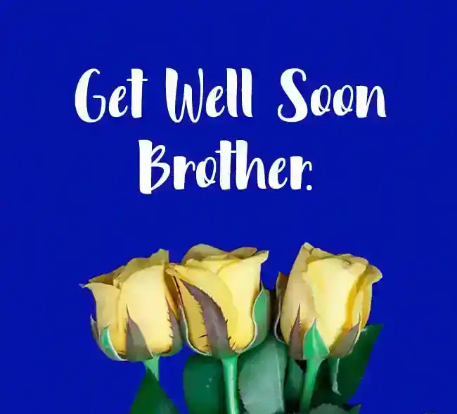 50 meldinger til bror