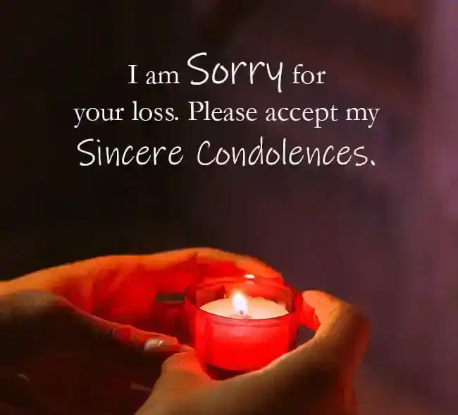 175의 감정과 인용