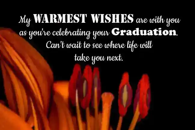 Graduation Wishes Quotes
