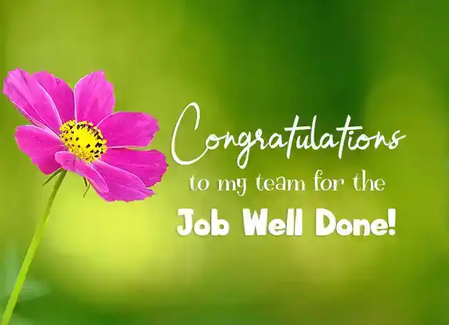 congratulations messages for team achievement