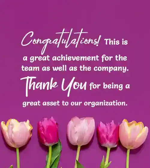 appreciation message to team