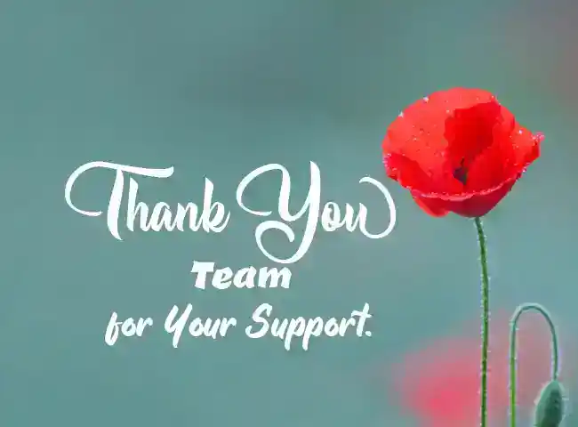 Thank-you-message-for-team-support