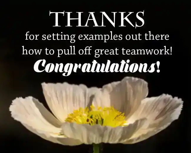 Congratulations Messages for Team